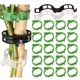 thumbnail image 1 of Plant clamps for plant supports/trellises 100-pack Black, 1 of 5