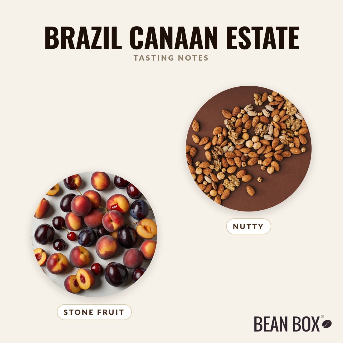Brazil Canaan Estate - Roasted by Middle Fork Roasters - Whole Bean Coffee - 2lb Bag