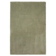 thumbnail image 1 of HomeRoots 352659 5 x 7 ft. Polyester Sage Area Rug, 1 of 1