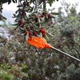thumbnail image 4 of Cesta de recolección de frutas Recolector de frutas Recolector de manzanas Cesta de recolección práctica sin poste Fácil de ensamblar para huerto, granja, jardín, laúd, cereza, etc. (amarillo y naran TUNC Sencillez, 4 of 5