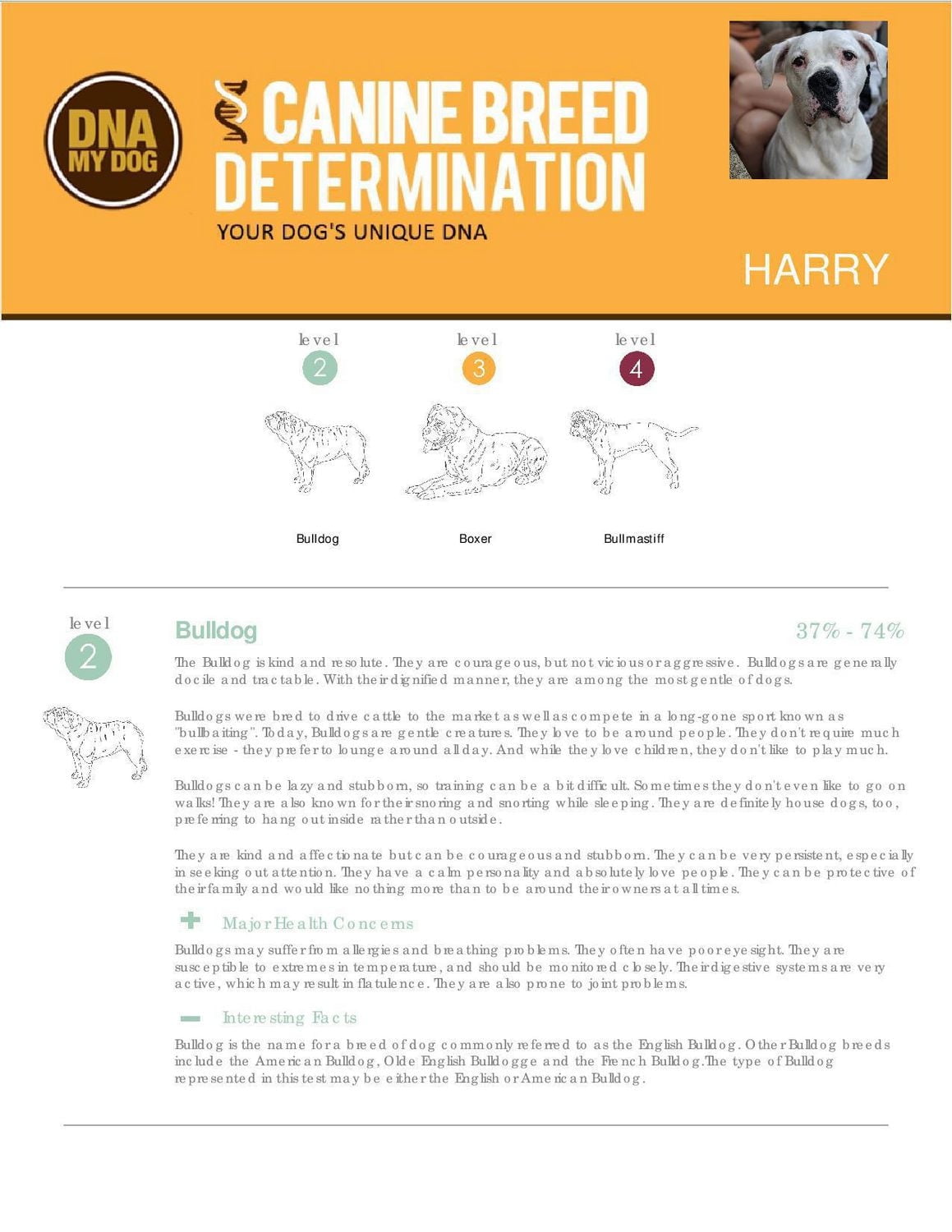 DNA My Dog - NextGen Breed ID PLUS Genetic Age Test