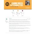 thumbnail image 3 of DNA My Dog - NextGen Breed ID PLUS Genetic Age Test, 3 of 7