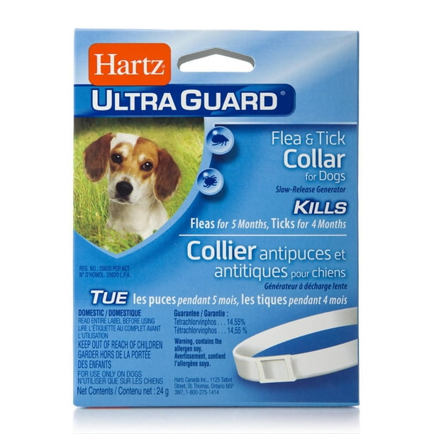 Do Dog Flea Collars Work: Truths Every Pet Owner Must Know