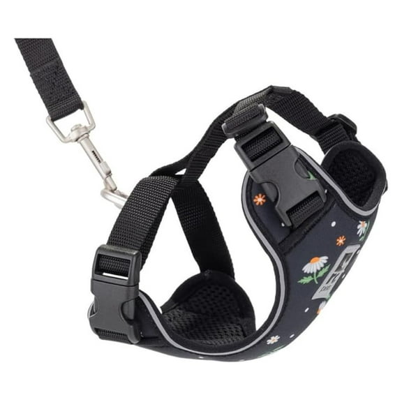 RC Pets Adventure Kitty Cat Harness | Adjustable Airmesh Vest with D-Ring and 6ft Leash for Walking and Travel | Daisies, Large