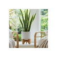 thumbnail image 4 of Ceramic Planter with Stand - Textured  Ceramic Pot with Bamboo Wood Base - Modern Indoor & Outdoor Plant Holder - 8" Ivory, 4 of 12
