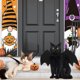 thumbnail image 5 of Bienvenido Halloween ropa creativa para mascotas, perros y gatos., 5 of 5