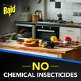 thumbnail image 5 of Raid® Fly Ribbons, Fly Traps, Effective for Kitchen & Food Prep Areas, Paper, 10 Count, 5 of 10
