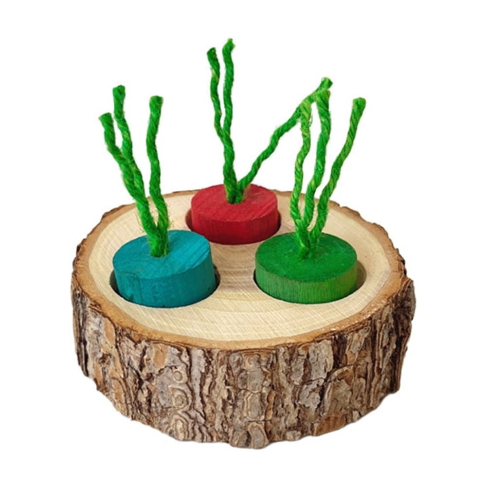 Pet Rabbit Foraging Toy, Small Animal Wooden Stake Interactive Hide Treats Toys, Hamster Enrichment Foraging Toy For Guinea Pig Chinchillas