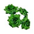 thumbnail image 1 of Guardoinrt 50pcs/set Bouquets Superbes avec Texture Douce et Apparence Réaliste d'Aspect Naturel Fibre Large Application DIY Vert Profond 4.5cm 1Set, 1 of 6