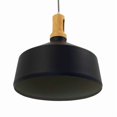 thumbnail image 3 of Noir Collection One Light Pendant, 3 of 5
