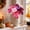 Multicolor, variant on Artificial Fall Floral Picks Fake Pumpkin Sunflower Rose Maple Leaf Stems Decorative Branches Thanksgiving Table Vase Arrangement 8.66x3.15x1.18in
