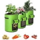 thumbnail image 1 of Paquete de 3 bolsas de cultivo de patatas de 5 galones. Bolsas de cultivo de plantas de vivero de jardín. Bolsa de cultivo de verduras de tela transpirable para tomates y zanahorias. Flor de jardinería Rojo Verde Cocina, Decoración y Otros, 1 of 4