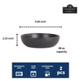 thumbnail image 2 of 10 Strawberry Street Wazee Matte Coupe Oversized Dinner Bowl, Set of 2, 2 of 6
