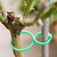 thumbnail image 3 of 50 Piezas Lazos de Clip Giratorios para Plantas Clips de Soporte para Plantas de JardíN Clips para Flores de Vid de Tomate Clips para Plantas 5,9 Cm, 3 of 7