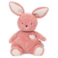thumbnail image 1 of Gund: Snuggle Conejo Peluche 12 Pulgadas rosa Estándar, 1 of 3