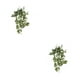 thumbnail image 4 of Bewildely Plantas falsas Decoración para el hogar Mini flor artificial Hoja de simulación Hojas colgantes Vine Boda Prop Sala de estar de blanco verde 2piezas, 4 of 6