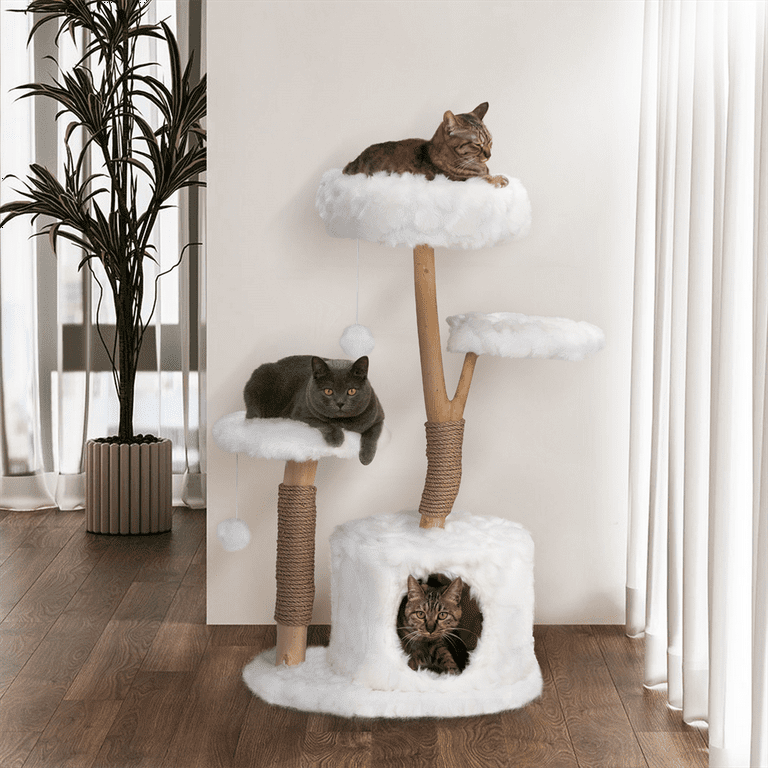 Modern cat outlet perch