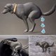 thumbnail image 2 of ¡Gran oferta! broche con diseño de perro, alfileres, broche de animal, regalos de vacaciones, diseño de caca de perro, broche ramillete para niñas, amigos, ropa, sombrero de vestir, 2 of 5