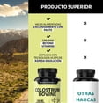 thumbnail image 3 of Beyond Vitamins | Calostro Bovino Grass Fed De Libre Pastoreo 1000 Mg, Bovine Colostrum Calidad Certificada - Grass Fed Colostrum - Calostrum - Vitaminas Mujer / Hombre - (60 Cápsulas), 3 of 7
