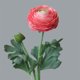 thumbnail image 1 of cabezas de flores artificiales de loto de rocío, decoración para el hogar, bodas, sala de estar, mesa de comedor, decoración de flores, decoración de interiores, 1 of 5