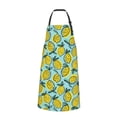 thumbnail image 2 of Bingfone Lemon Apron Gifts For Men, Women Professional Grade Chef Apron for Kitchen,BBQ & Grill, 2 of 8