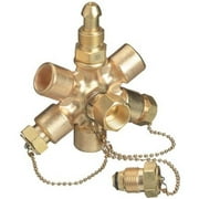 Western Enterprises MB-70 Manifold Block Assemblies, Argon/Helium/Nitrogen, Female Outlets Connection, 0.5 Length