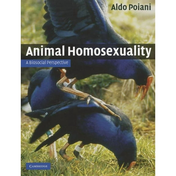 Animal Homosexuality, (Paperback)