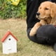 thumbnail image 3 of Dispositivo Antiladridos para Perros con Forma para Entrenador de Ladridos Sónicos para Las Razas Interior Libre - naranja Yinane Dispositivo de entrenamiento de ladridos, 3 of 8