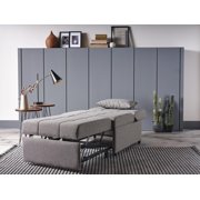 Pull Out Sleeper Chair with Reclining Back Grey