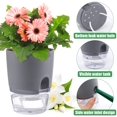 thumbnail image 2 of Topboutique Self Watering Pots for Indoor Plants, 3 Pack 6 inch Plastic Plant pots, Modern Decorative African Violet Pots with Self Aerating, Wick Cotton Rope and Deep Reservoir (6 Inch, Gray), 2 of 8