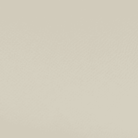 Optic White / Gold