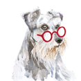 thumbnail image 2 of Pinto, Patricia 12x12 White Modern Wood Framed Museum Art Print Titled - Schnauzer With Glasses, 2 of 4