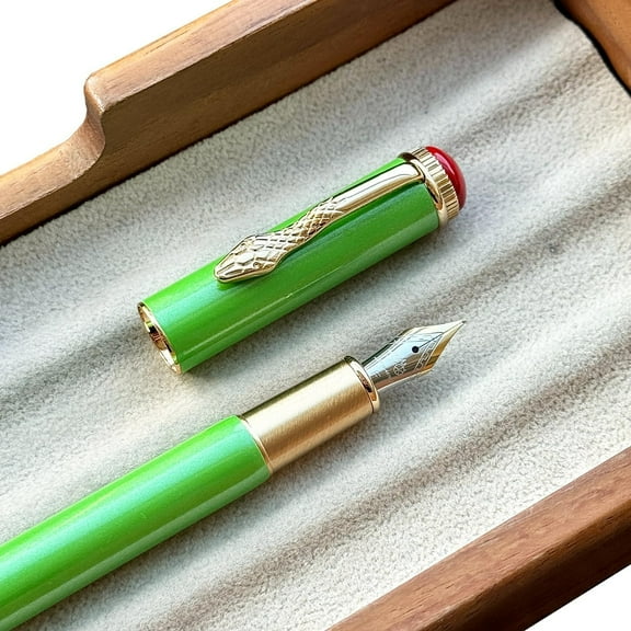 Eespoir Jinhao 025 Metal Fountain Pen, Snake Clip Fine Nib Pen, Smooth Writing Pen with Ink Converter for Calligraphy, Office, Gift(A-0.5MM)