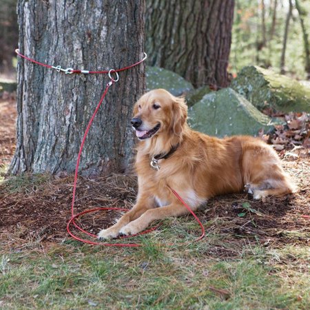 Snap Around 2 Piece Dog Tree Tie Out Tether Cable Secure System Hold Up To
