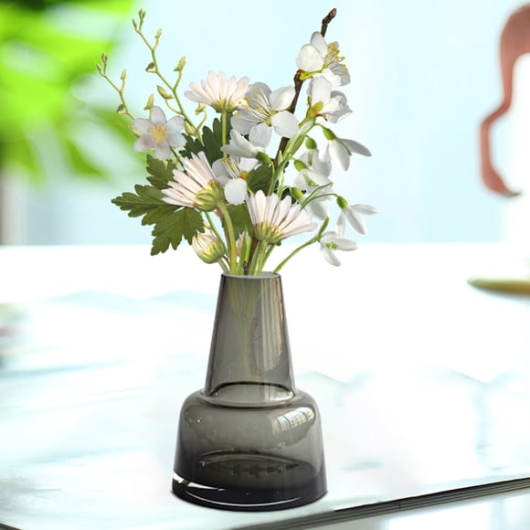 SLMOTUAE Clear Glass Vase - Transparent Hydroponic Container for Flowers, Office Desktop Decor