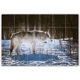 thumbnail image 1 of Picture-Tiles.com: Wolf Ceramic Tile Wall Mural WAL501238-64M. 36"W x 24"H using (24) 6" x 6" Ceramic Tiles-Satin Finish, 1 of 3