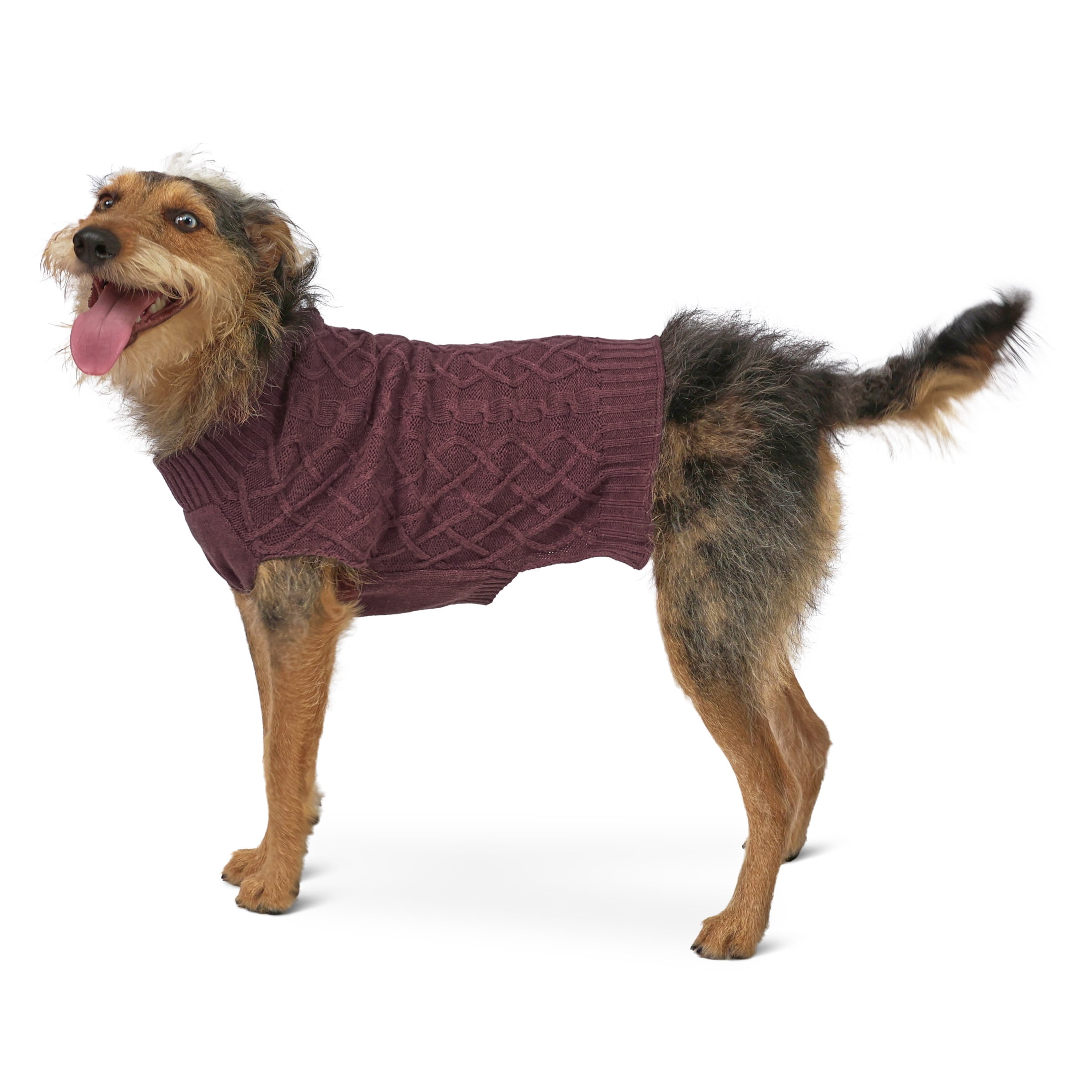 Vibrant Life Cable Knit Sweater for Dogs, Plum, M