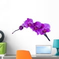 thumbnail image 1 of Orchid Wall Decal by Wallmonkeys Peel and Stick Graphic (24 in W x 14 in H) WM131183, 1 of 4
