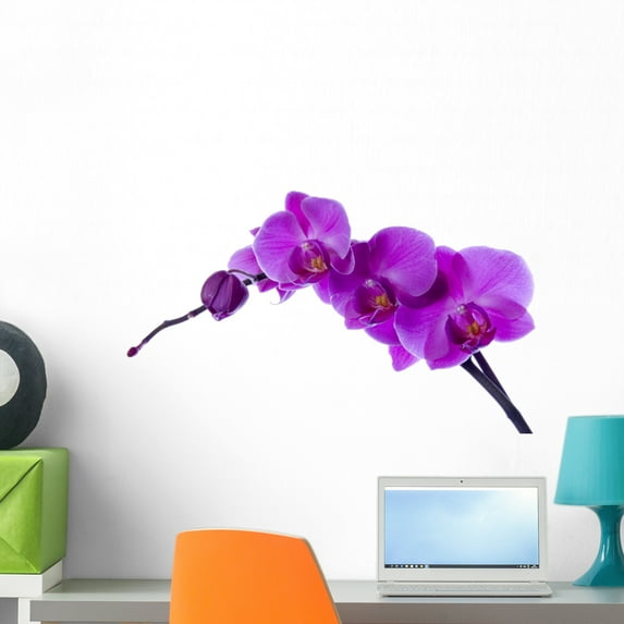 Orchid Wall Decal by Wallmonkeys Peel and Stick Graphic (24 in W x 14 in H) WM131183