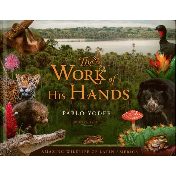 The Work of His Hands