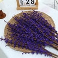 thumbnail image 3 of NOGIS 5 Pieces 29.5" Long of Jasmine Artificial Flower Artificial Flowers Fake Flower for Wedding Home Office Party Hotel Restaurant Patio or Yard Decoration (Purple), 3 of 7