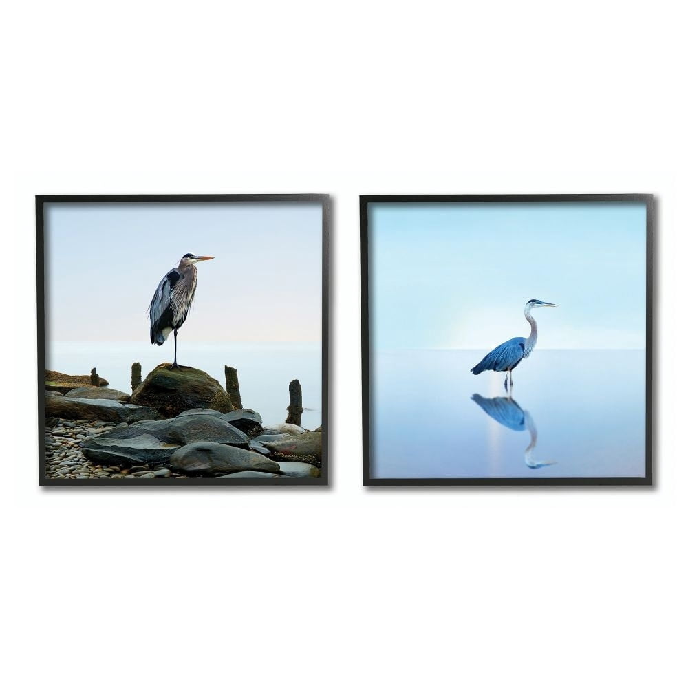 Stupell Industries Beach Heron Ocean Animal Photographs Framed Wall Art by James McLoughlin, 2 Piece, 12" x 12", Black Framed