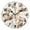 Black, variant on Cartoon Raccoon Fox Round Wall Clock Battery Operated Silent Non-Ticking Bedroom Office Kitchen Home School Decor 10"(Black)
