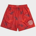 thumbnail image 1 of Eric Emanuel Shorts Ee Shorts Sports Breathable Mesh Pants Ee Loose Fitnesse-week, 1 of 3