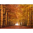 thumbnail image 3 of Póster de lienzo con decoración de otoño, hojas amarillas, vista de otoño, arte de pared, impresión, pintura de puente, imagen de Halloween, decoración del hogar para sala de estar, 3 of 5