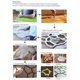 thumbnail image 4 of Moldes de adoquines de cemento para crear caminos exóticos, proyectos de patios y jardines personalizados con moldes de adoquines reutilizables, 4 of 4