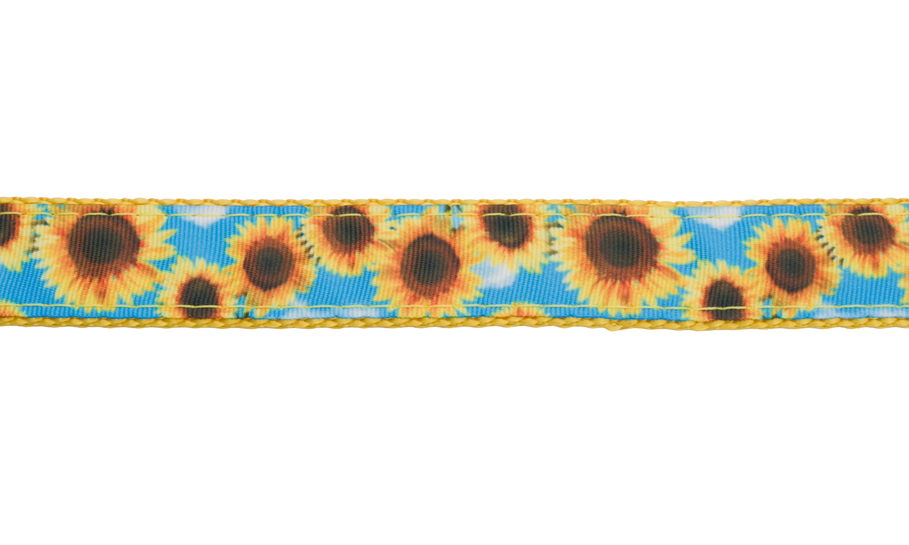 Country Brook Design - Sunflowers Ribbon on Gold Nylon Webbing (1 Inch, 10 Yards)