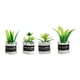 thumbnail image 2 of Plantas en miniatura para casa de muñecas, modelo de adorno, juguete de simulación, plantas diminutas, escala 1/12 Estilo A, 2 of 9