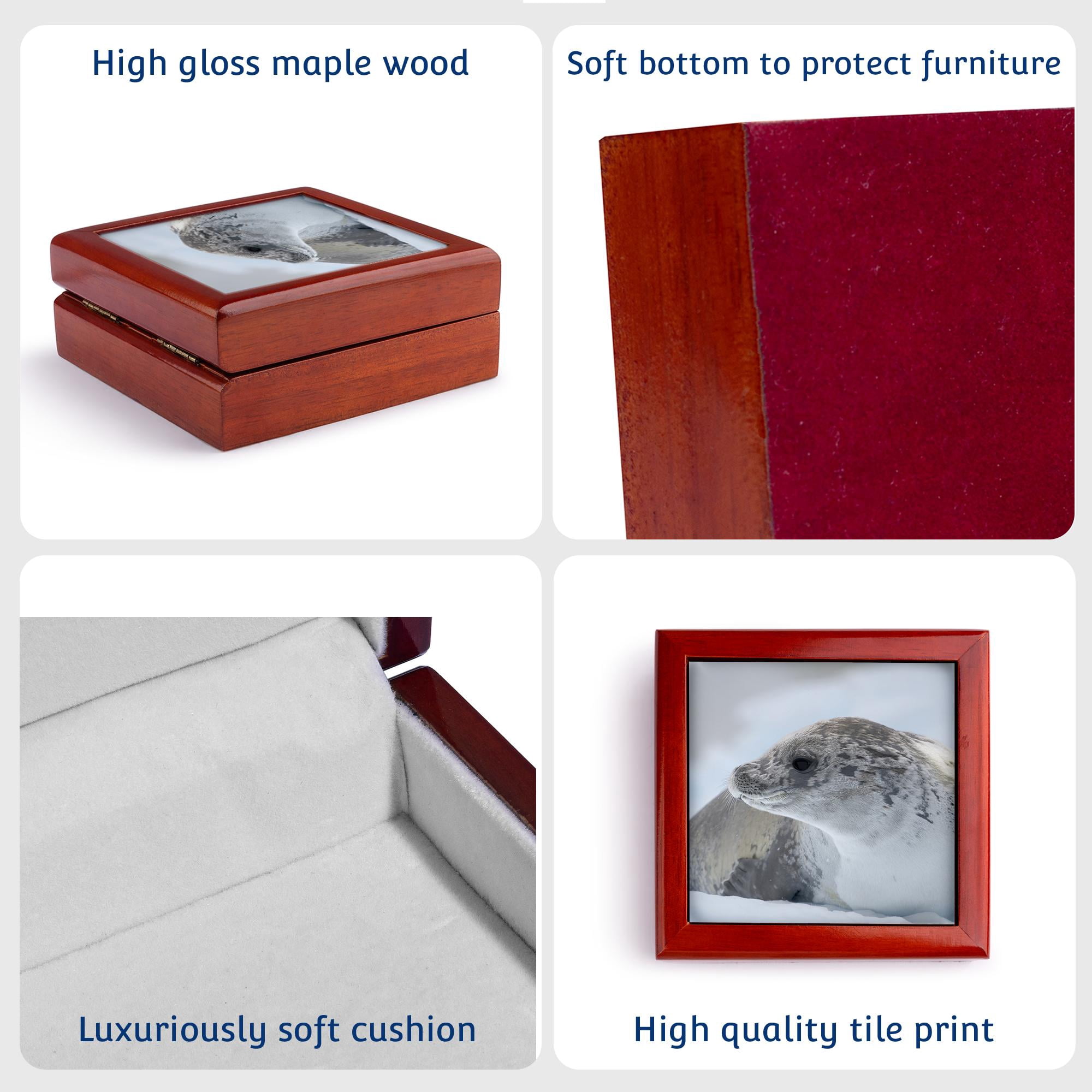 3dRose, Crabeater Seal on ice floe. Antarctic Peninsula, Detaille Island., Jewelry Box 5.5x5.5 inch with 4 inch tile