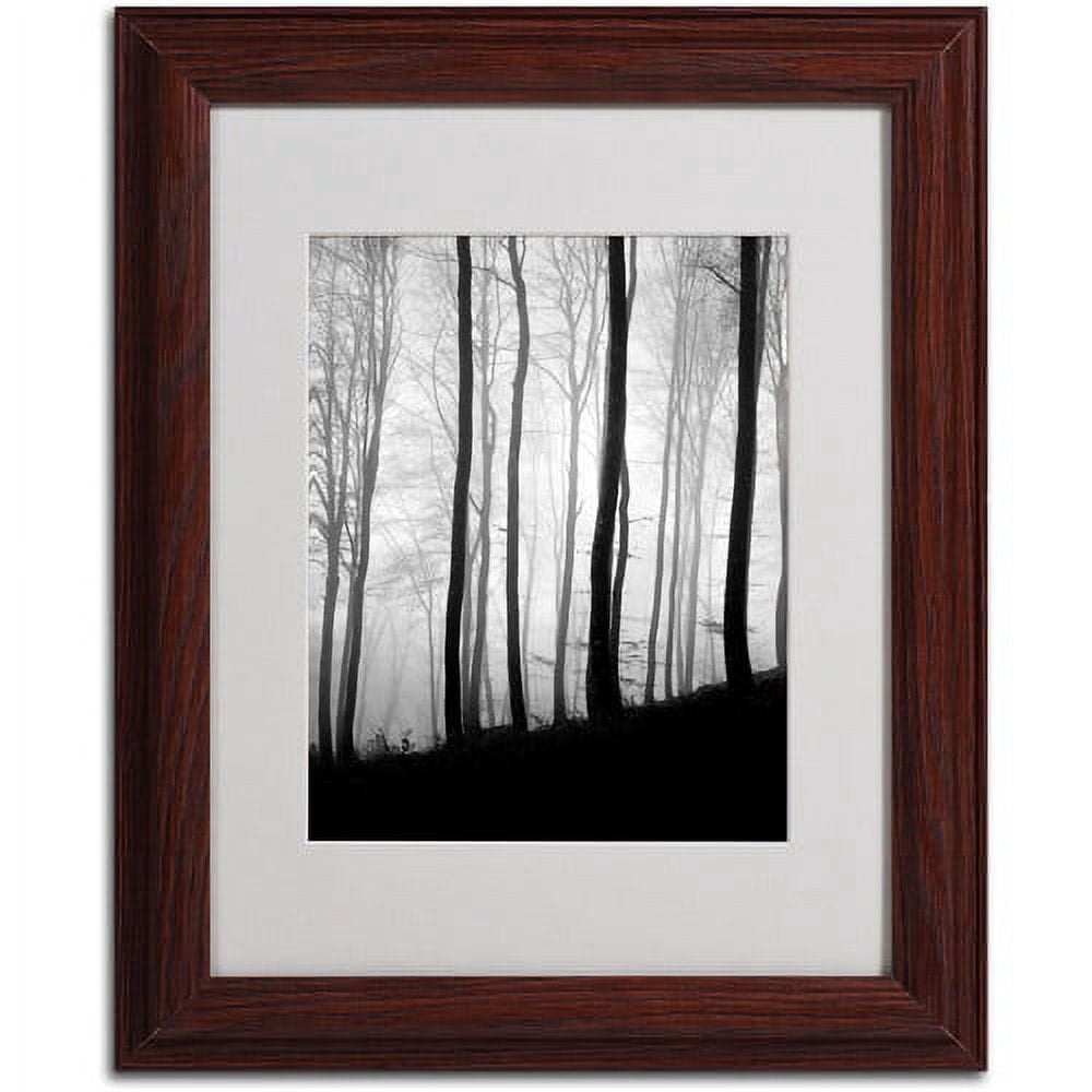 Trademark Fine Art "Black Lines" Canvas Art by Philippe Sainte-Laudy, Wood Frame